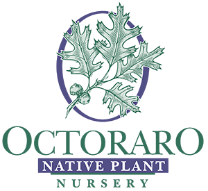 Octoraro Native Plant Nursery