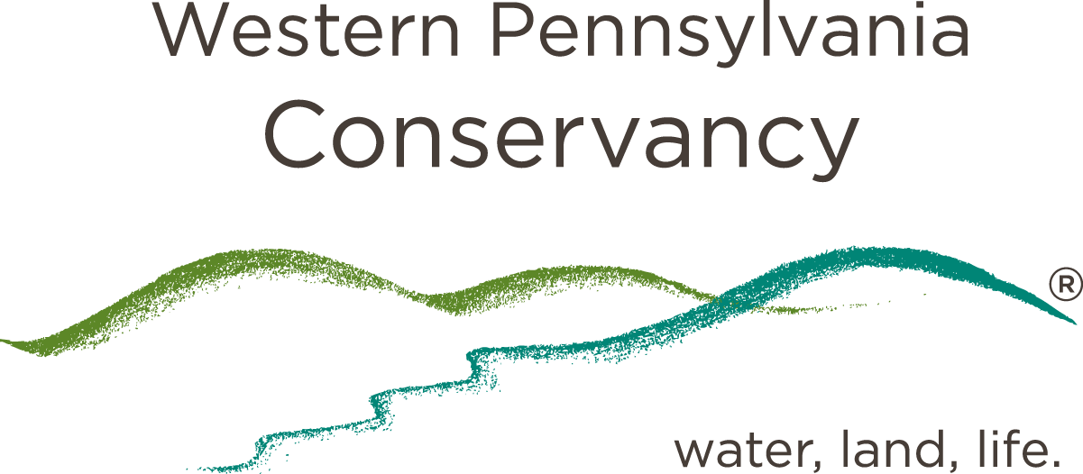 WPC Logo